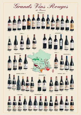 Image de Educational - Grands Vins Rouges de France Poster - 68x98 cm