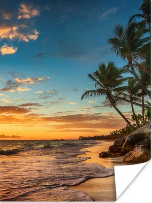 Produktbild von MuchoWow® Poster Strand - Sonnenuntergang - Meer - Palme 90x120 cm - Wohnzimmer