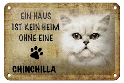 Produktbild von Blechschild Spruch 18x12cm Chinchilla Katze ohne kein Heim