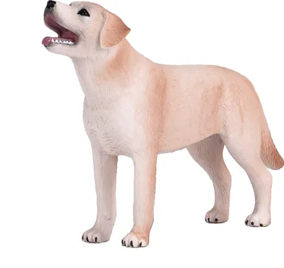 Zdjęcie produktu dla Small foot 387271