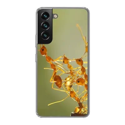 Produktbild von MuchoWow® Handyhülle Schutzhülle Hülle für Samsung Galaxy S22 Ameisen - Orange - Tiere Silikon Softcase Handy Hülle - Mobiltelefonhülle