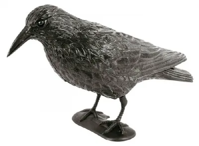 Image de Épouvantail "Corbeau"
