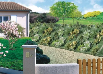 Produktbild von 1,25 x 10 m AGROSOL Mulchvlies