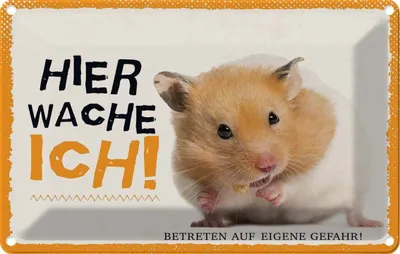Produktbild von vianmo Blechschild 20x30 cm Hamster hier wache ich eigene Gefahr Tier Haustier