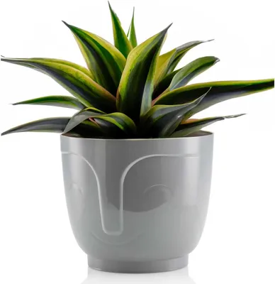 Produktbild von HowHomely Blumentopf Zoe 16 cm Höhe, Pflanzkübel, Grau Übertopf für garten balkon