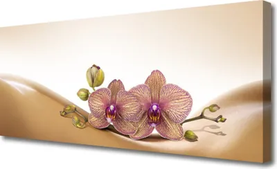 Produktbild von Tulup Leinwand-Bilder 125x50 Wandbild Canvas Kunstdruck Baume Pflanzen