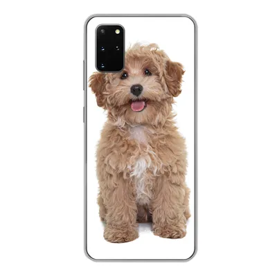 Produktbild von MuchoWow® Handyhülle Schutzhülle Hülle für Samsung Galaxy S20 Plus Hund - Haustiere - Fell Silikon Softcase Handy Hülle - Hartschale