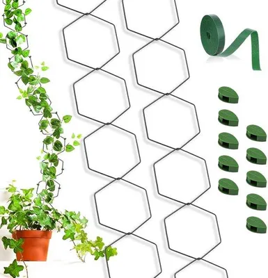 Image de Lot de 18 supports métalliques pour plantes grimpantes, noir