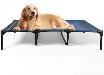 Immagine prodotto di Cuccia rialzata per cani - Adatta per l'esterno - Blu