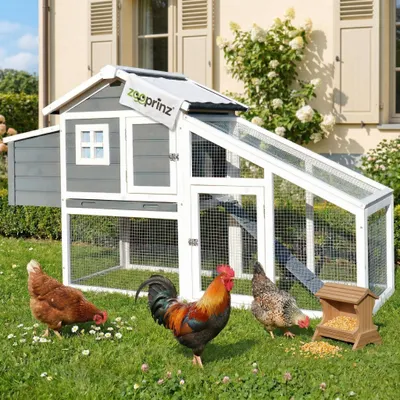Produktbild von zooprinz Hühnerstall Hühnerhaus Dottie L | Nistkasten | Rampe | Freilauf | XXL | Wetterfest | 175x101x66cm (BxHxT)