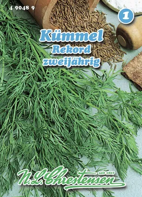 Produktbild von Kümmel Rekord | Kümmelsamen von N.L. Chrestensen