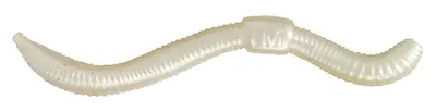 Produktbild von Spro Trout Master Dendrobaena 90 Pearl Gummi Wurm