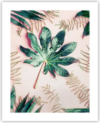 Produktbild von Poster - Poster ohne Rahmen - Blatt Tropisch Palme - 40x50 cm - Wand Bild - Wanddeko - Wandbilder - Kunstposter - Wandposter - Bilder - Kunstdruck - Wanddekoration - Wandbild - P2XPA40x50-4314