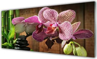 Produktbild von Glasbilder 125x50 Wandbild Druck auf Glas Blumen Bambus Steine Pflanzen