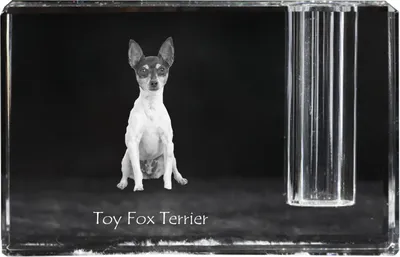 Produktbild von Toy Fox Terrier, American Toy Terrier, Amertoy - Stifthalter, Kristallorganizer mit Hundefoto, einzigartige Schreibtischdekoration der Marke Art-Dog