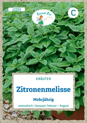 Produktbild von Grüne Fee - Zitronenmelisse Mehrjährig Samen - 12255
