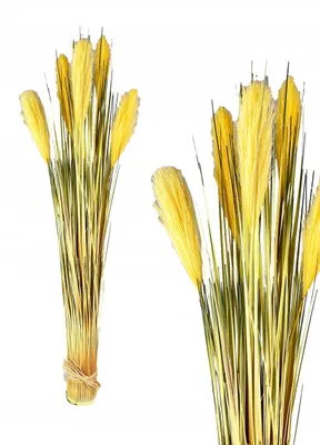 Image de TG Botte d'herbe artificielle décorative Pampas
