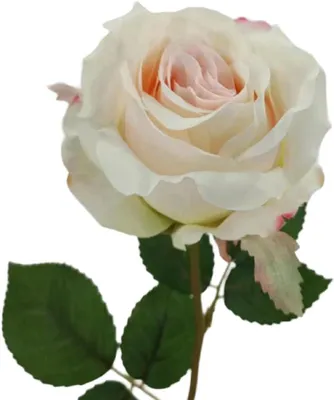 Produktbild von 2474U Künstliche Rose Weiß, Deko Kunstblume für Hochzeit, 65 cm