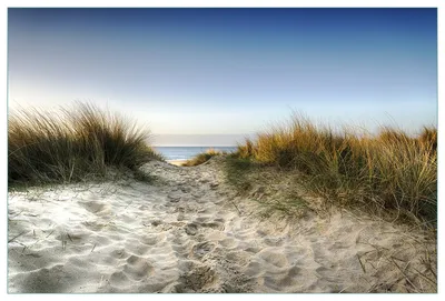 Produktbild von Wallario Küchenrückwand aus Glas, Größe: 90 x 60 cm, Motiv: Weg durch die Dünen zum Strand am Meer | Spritzschutz | abwischbar | pflegeleicht | in