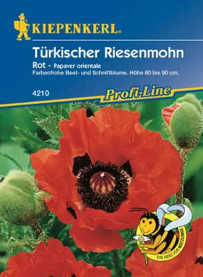 Produktbild von Türkischer Riesenmohn Rot | Mohnsamen von Kiepenkerl