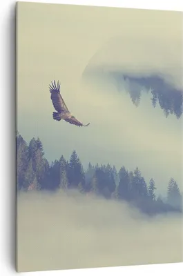 Produktbild von Bild auf Leinwand - Leinwandbild - Einteilig - Vogel Natur Wald - 70x100cm - Wand Bild - Wanddeko - Wandbilder - Leinwanddruck - Wanddekoration - Leinwand bilder - Wandbild - PA70x100-3853