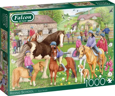 Zdjęcie produktu dla Falcon de luxe 1110500236, 1000 szt., Farma, 12 lat(a)