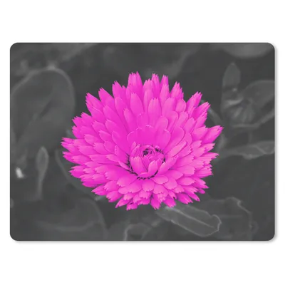 Produktbild von MuchoWow® Mauspad Mousepad Blumen - Aquarell - Rosa 40x30 cm - Mousepads - Maus Mat - Pad - Mausunterlage - Anti Rutsch