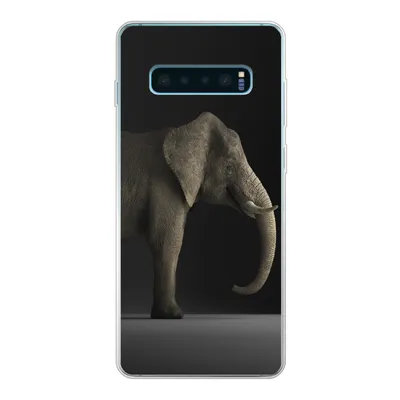 Produktbild von MuchoWow® Handyhülle Schutzhülle Hülle für Samsung Galaxy S10 Lite Elefant - Tiere - Licht Silikon Softcase Handy Hülle - Schutz