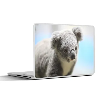 Produktbild von MuchoWow® Laptop Aufkleber Sticker Cover Koala - Porträt - Tier - Kinder - Jungen - Mädchen 30x21 cm - Sticker für Laptop - Selbstklebend