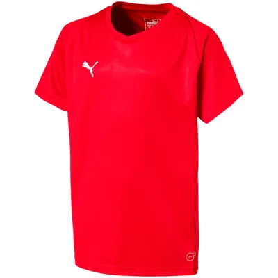 Produktbild von Puma Liga Core Unisex Kinder Fussball Trikot kurzarm Shirt rot weiß Gr 176