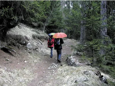 Produktbild von EuroSCHIRM light trek automatic, Kompakt, Regenschirm, Rund, Schwarz, Fiberglas, Polyester