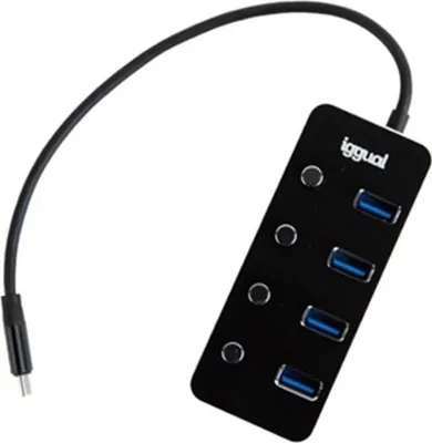 Image de Hub USB iggual IGG318485
