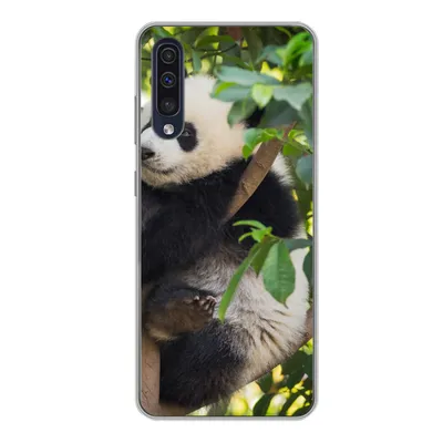 Produktbild von MuchoWow® Handyhülle Schutzhülle Hülle für Samsung Galaxy A50 Panda - Tier - Baum Silikon Softcase Handy Hülle - Mobiltelefonhülle