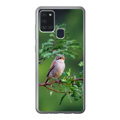 Produktbild von MuchoWow® Handyhülle Schutzhülle Hülle für Samsung Galaxy A21s Vogel - Baum - Wald Silikon Softcase Handy Hülle - Hartschale