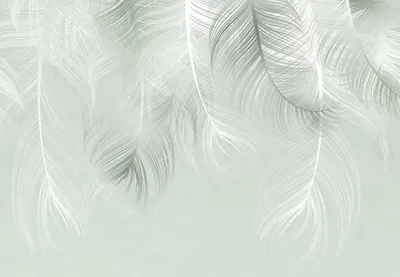 Produktbild von Sanders & Sanders Fototapete Federn Hellgrün 375 x 270 cm
