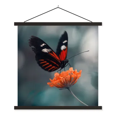 Produktbild von MuchoWow® Textilposter Schmetterling - Blume - Insekt 40x40 cm mit schwarzem Rahmen - Fotos