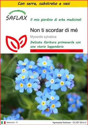 Immagine prodotto di SAFLAX Insieme di coltivazione - Non ti scordar di mé - 150 semi - Myosotis