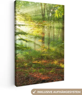 Produktbild von MuchoWow® - Leinwandbilder - Sonne - Wald - Bäume - Natur - Herbst, Wandbild, Wanddeko Bilder Wohnzimmer, 60x90cm