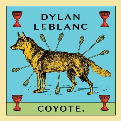 Immagine prodotto di Coyote