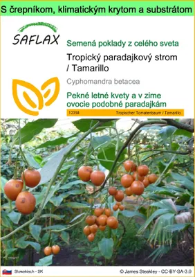 Obrázok produktu pre SAFLAX Garden to go - Tropický paradajkový strom / Tamarillo - Cyphomandra betacea - 50 Semená - S črepníkom, klimatickým vekom a pestovateľským substrátom
