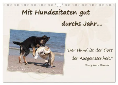 Produktbild von Mit Hundezitaten gut durchs Jahr (Wandkalender 2027 DIN A4 quer), CALVENDO Monatskalender