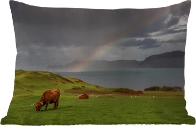 Produktbild von MuchoWow® Outdoor Kissen - Schottische Hochlandrind - Gras - Wolken - 60x40 cm - Wetterfest - Lounge Kissen - Zierkissen - Kissen für Innenräume