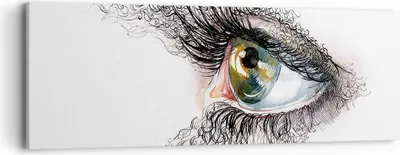 Produktbild von Bild auf Leinwand - Leinwandbild - Auge Menschliches Illustration Erwachsenen- - 90x30cm - Wand Bild - Wanddeko - Leinwanddruck - Bilder - Kunstdruck - Leinwand bilder - Wandkunst - AB90x30-3002