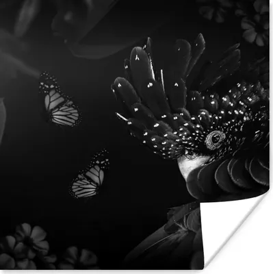 Produktbild von MuchoWow® Poster Schmetterlinge - Pflanzen - Dschungel - Schwarz - Weiß 75x75 cm - Wand Dekoration