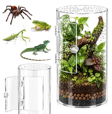 Immagine prodotto di Terrario cilindrico con visuale a 360° per rettili