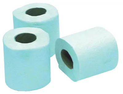 Image de Rouleaux de papier toilettes ECO blanc 2 plis - 9132832