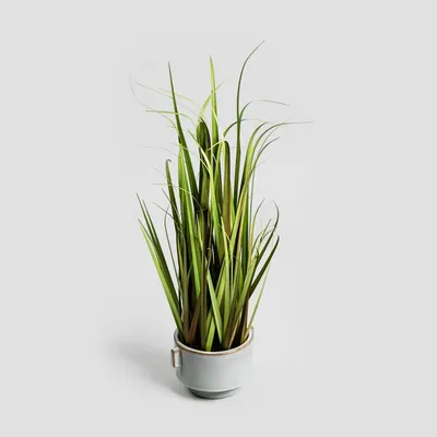 Zdjęcie produktu dla HOMLA ROŚLINA SZTUCZNA B2 TRAWA 70 cm