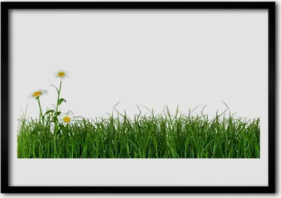 Produktbild von Bild 70x50 MDF-Rahmen Wandkunst Gras Natur Pflanze