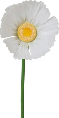 Produktbild von Deko Gänseblume XL FLOWER POWER