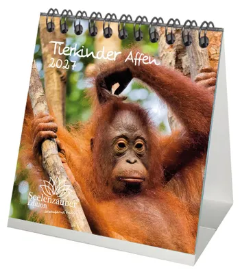 Produktbild von Tierkinder Affen Tischkalender 10x10cm für 2027 - Seelenzauber
